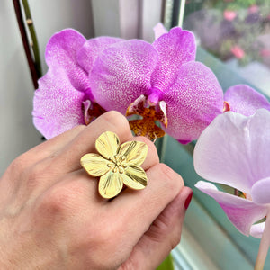 Bague "ELIXIR" adaptable en acier inoxydable émaillé