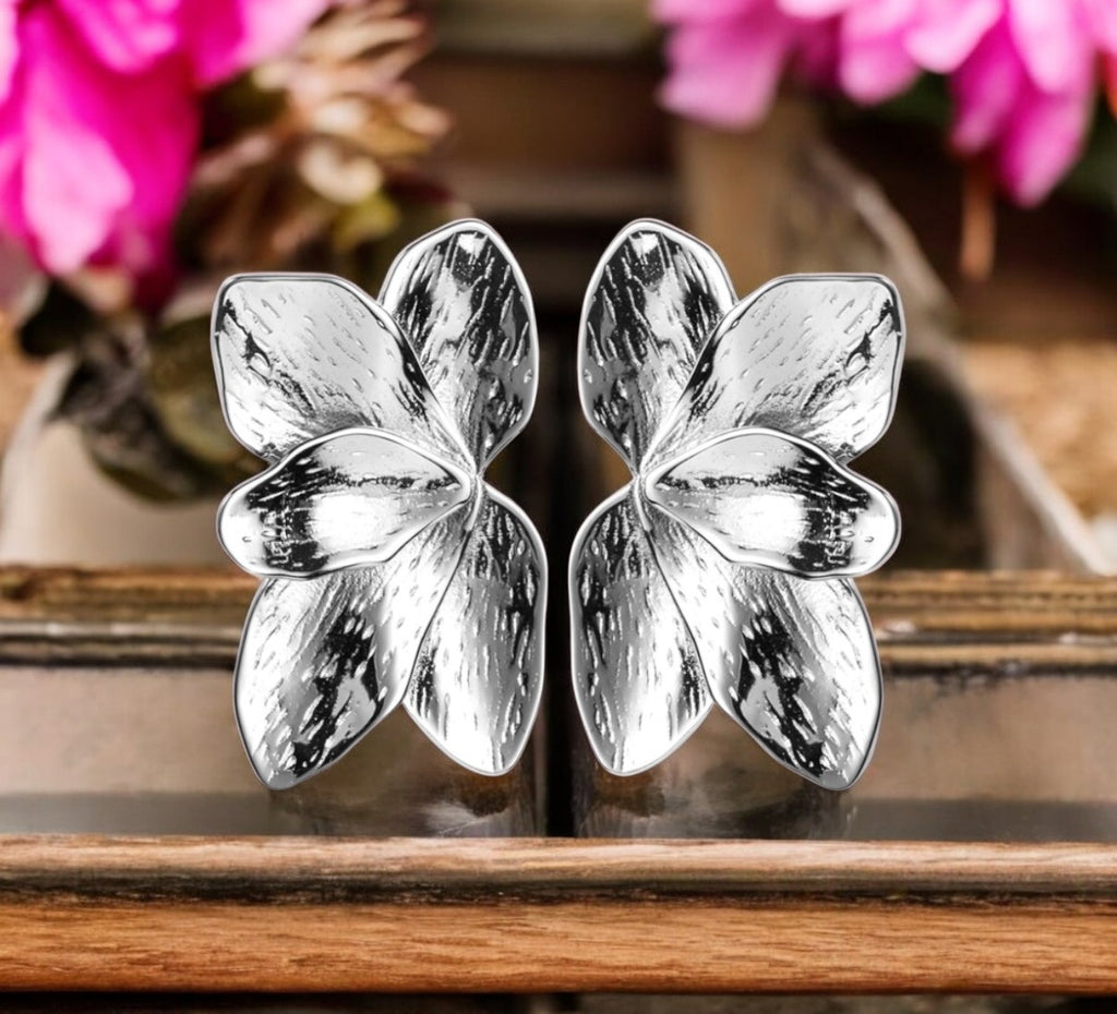 Boucles d'oreilles "EXQUISE ARGENT" en acier inoxydable