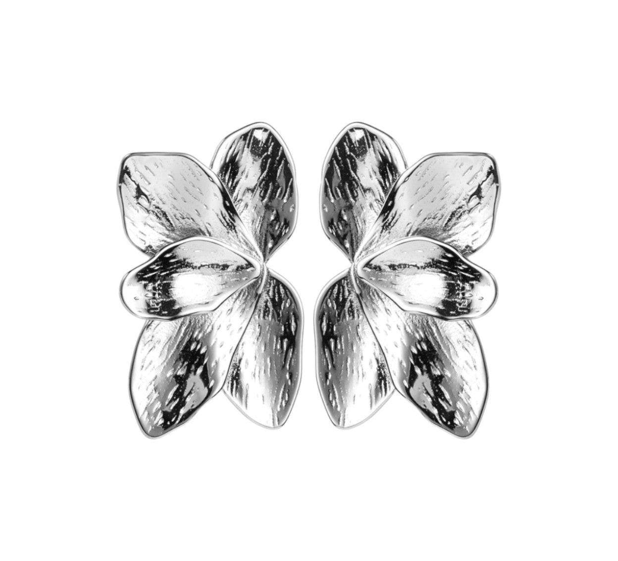 Boucles d'oreilles "EXQUISE ARGENT" en acier inoxydable